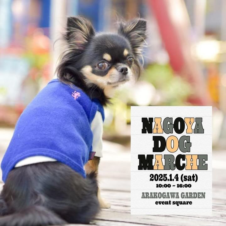 NAGOYA DOG MARCHE（ナゴヤドッグマルシェ）